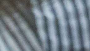 No hay temer a los tratamientos hormonales.