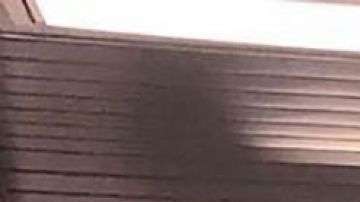 El piloto de un vuelo a Oklahoma le pidió matrimonio a la azafata en pleno vuelo.