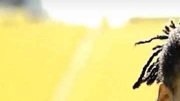 Loic Rémy, el delantero francés, fue echado por las malas de Las Palmas por Paco Jémez.