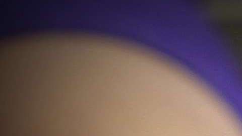 Las capacidades que ofrece el candidato debe ser lo primero que se vea./Shutterstock