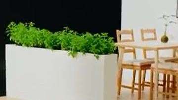 Eolus será de gran ayuda para personas de la tercera edad.