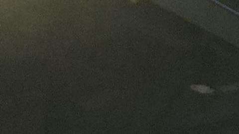 Momento en que la NFL anuncia la entrega de un millón de dólares a beneficio de veteranos de guerra. Atestiguan jugadores de los Minnesota Vikings y porristas de Eagles y Patriots.