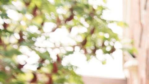 Cuatro estudiantes recibirán becas de hasta $20,000 cada una para estudiar artes culinarias gracias al apoyo de Goya Foods.