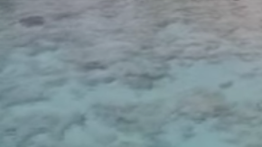 Screen Shot 2018-01-05 at 19.02.01