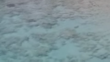 Screen Shot 2018-01-05 at 19.02.01