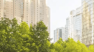 El Honda Insight 2019 es la primera sorpresa de Detroit.