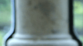 Margarita Zavala irá por la presidencia con sus seguidores falsos.