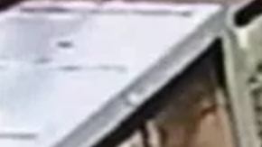 Dos supuestos ladrones roban dos serpientes de una tienda de mascotas, en Phoenix, Arizona.