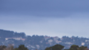 El 2018 se llenará de belleza.