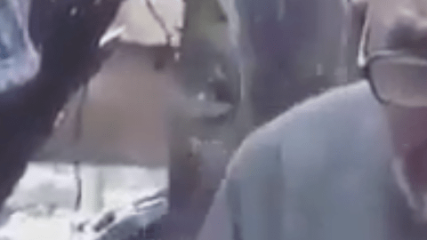 Hombre de 81 años pierde su casa y todas sus pertenencias y animales en un incendio. Solo consigue salvar a su gatito.