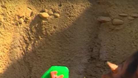 Fiona la hipopótamo