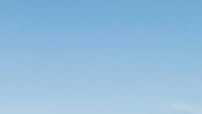 La joven pensó que viajaba en una de estas joyas.