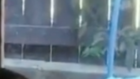 Niña de 4 años, ciega y con cáncer se reencuentra con su gato perdido.