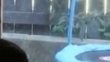 Niña de 4 años, ciega y con cáncer se reencuentra con su gato perdido.