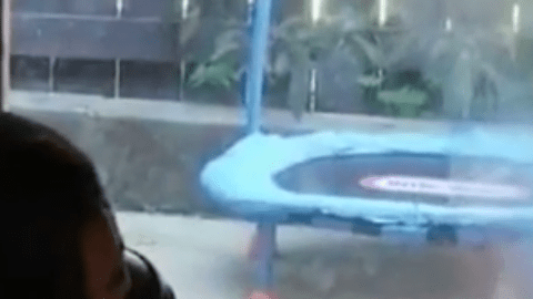 Niña de 4 años, ciega y con cáncer se reencuentra con su gato perdido.