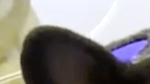 Screen Shot 2018-01-26 at 8.58.24 PM