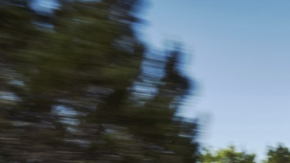 La SUV alemana de la que todos hablan.