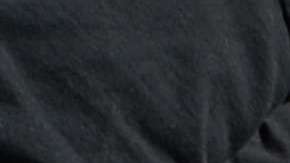 En 2013 hubo un "cierre de gobierno".