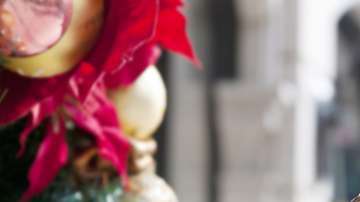 Algunos almacenes tienen procedimientos más flexibles, mientras que otros no aceptan devoluciones.