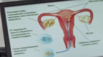 La citología cervical se recomienda anualmente a mujeres mayores de 21 años.