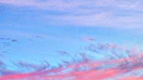 La fiebre del valle se incrementa en las zonas desérticas, y por eso está más presente en Arizona y el Valle Central de California.