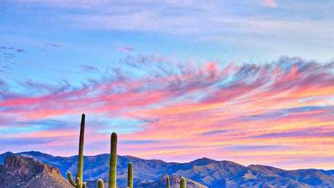 La fiebre del valle se incrementa en las zonas desérticas, y por eso está más presente en Arizona y el Valle Central de California.