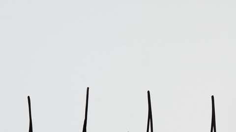 La aplicación puede decirte si sufrirás un infarto varias horas antes de que suceda.