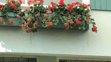 Elenco de la telenovela "Tenías que ser tú" de Televisa