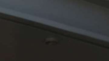 El 9 de marzo expira el TPS para salvadoreños y el lunes 8 de enero se sabrá si hay extensión o se cancela (Foto. archivo)