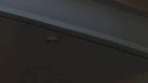 El 9 de marzo expira el TPS para salvadoreños y el lunes 8 de enero se sabrá si hay extensión o se cancela (Foto. archivo)