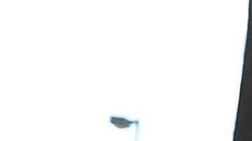 Activistas piden ampliar los permisos temporales.