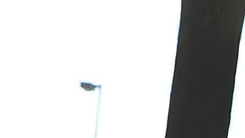 Activistas piden ampliar los permisos temporales.