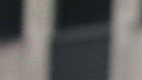 En riesgo el futuro de los inmigrantes protegidos por el TPS (Mariela Lombard/EDNY)