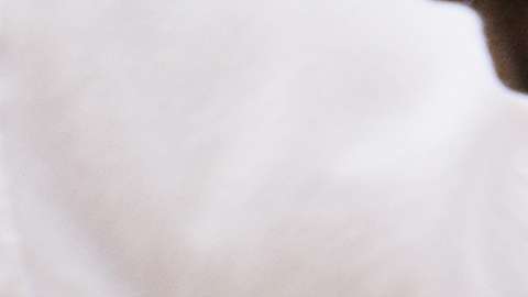 La mejora de la construcción es una de las razones del mayor empleo y afiliación sindical./Shutterstock