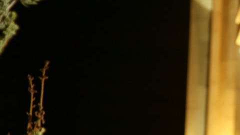 Las mujeres tienden a involucrarse más en las relaciones.