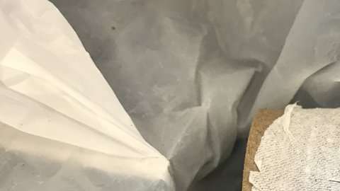 Una tenia de más de cinco pies se encontró en el interior de un paciente.