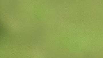 Se tienen registros de que 21 de 50 personas han fallecido alrededor del mundo por contraer el virus herpes B.