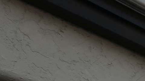 Integrantes de la red de respuesta rápida de Los Angeles. Una nueva guía difunde las estrategias de organización para defender a los inmigrantes.  (Photo by Aurelia Ventura/La Opinion)