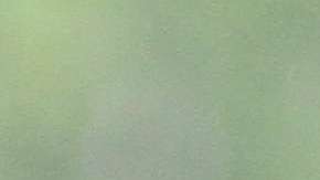 Defensora del Pueblo, Letitia James pide al Alcalde y los concejales que designen dinero para defender a los inmigrantes con asuntos legales.