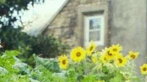 El conejo Peter Rabbit (Foto: Sony Pictures Entertainment)
Image caption
La película Peter Rabbit se estrenó este fin de semana en Estados Unidos y una escena causó revuelo.