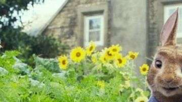 El conejo Peter Rabbit (Foto: Sony Pictures Entertainment)
Image caption
La película Peter Rabbit se estrenó este fin de semana en Estados Unidos y una escena causó revuelo.