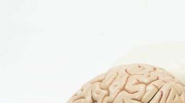 Hay tres redes neuronales relacionadas con las habilidades creativas.