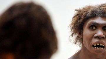 Hasta ahora se pensaba que los neandertales no eran capaces de crear arte.