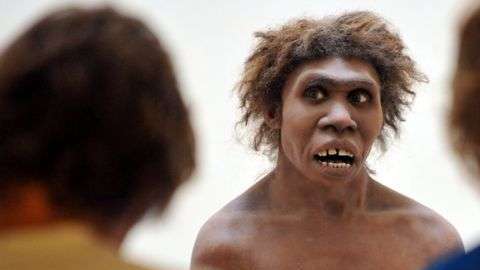 Hasta ahora se pensaba que los neandertales no eran capaces de crear arte.