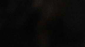 Trump durante su primer discurso del Estado de la Unión. EFE