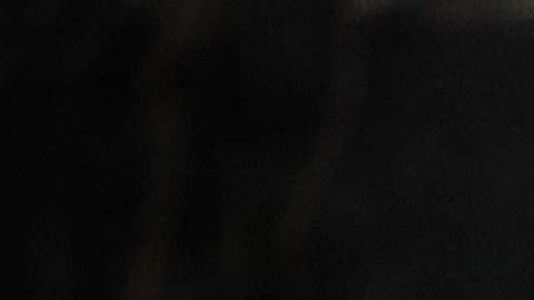 Trump durante su primer discurso del Estado de la Unión. EFE