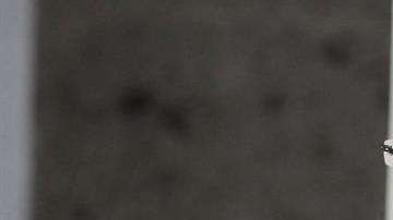 Álvaro Colom, expresidente de Guatemala./ EFE