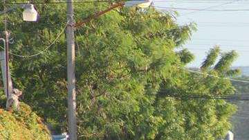 Ola de violencia en Guerrero.