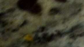 El boleto fue vendido en un Sam Food Mart.