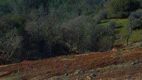 La represa Oroville se desbordó el domingo.